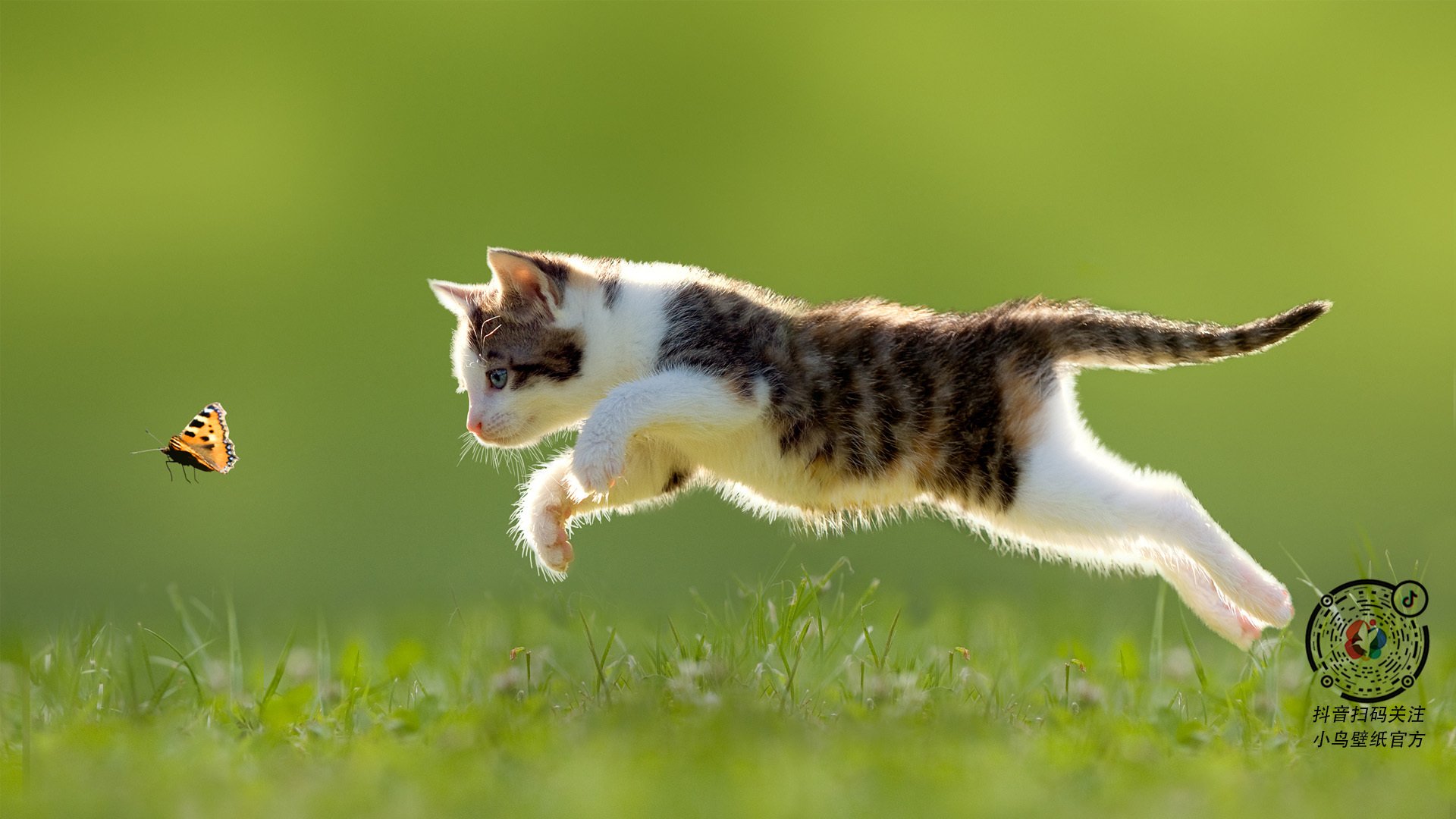 世界俱乐部杯在线观看-_AI智能裁判：打造公平公正体育环境_，人工智能篮球裁判