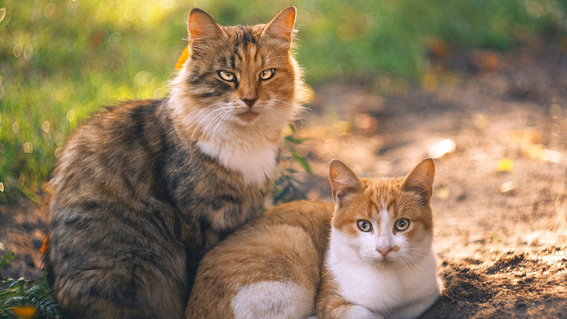 世俱杯专业体育赛事直播平台-《《绝地求生》2.0新版上线，游戏体验再升华》，绝地求生新版的绝地求生