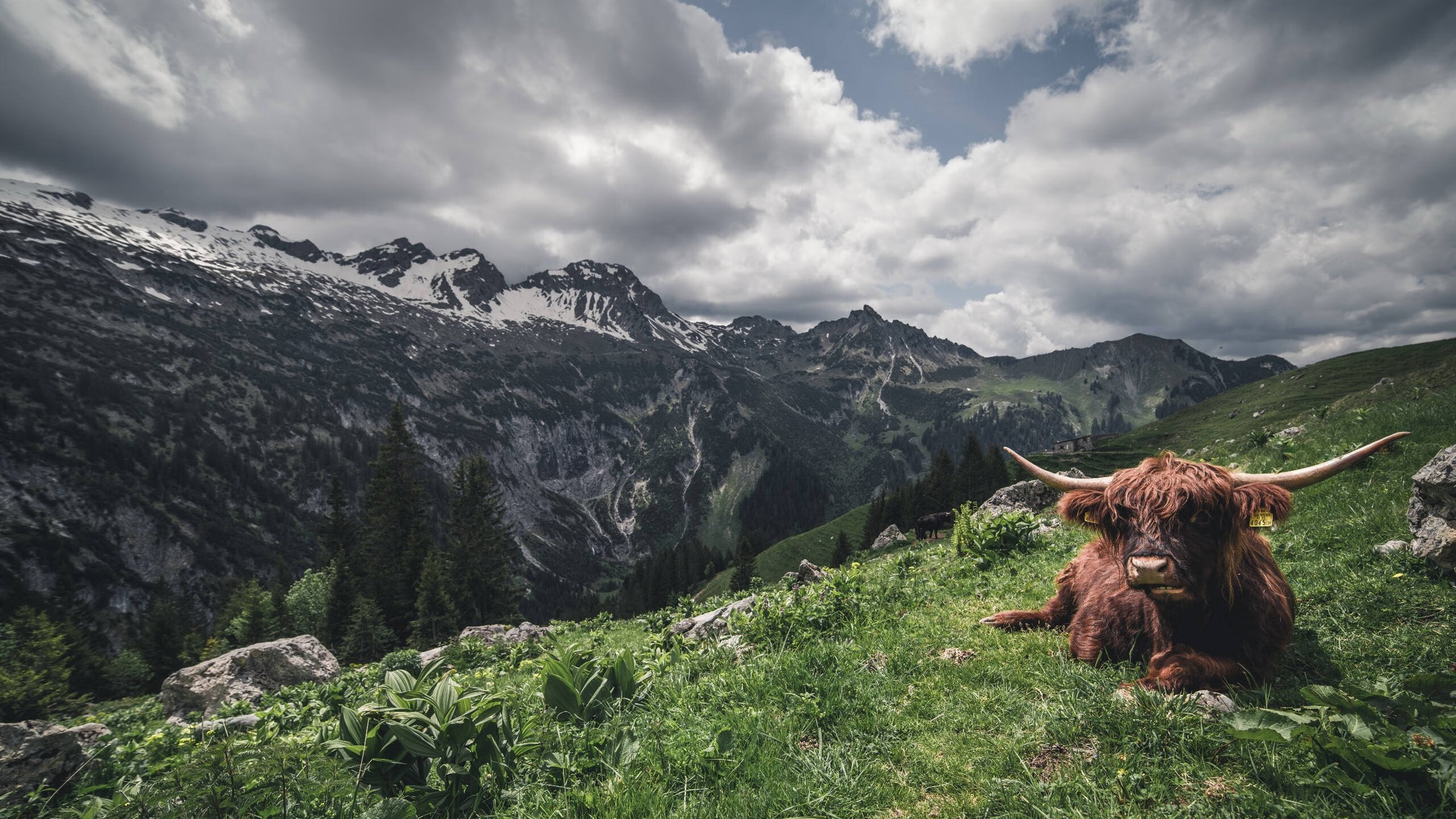 世俱杯官网-国足主帅:留给我们的时间不多了,国足主教练3位候选人