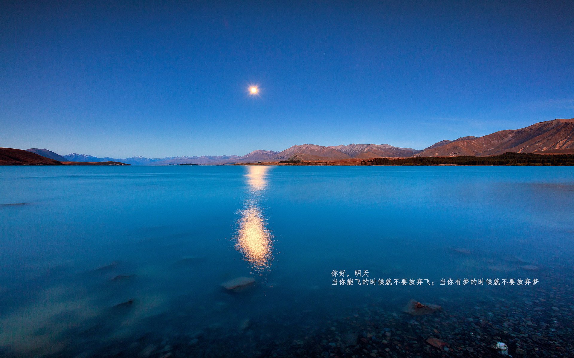 世俱杯入口-哥伦比亚马术协会推出马匹健康管理系统，提升马匹福利。，哥伦比亚亚马孙