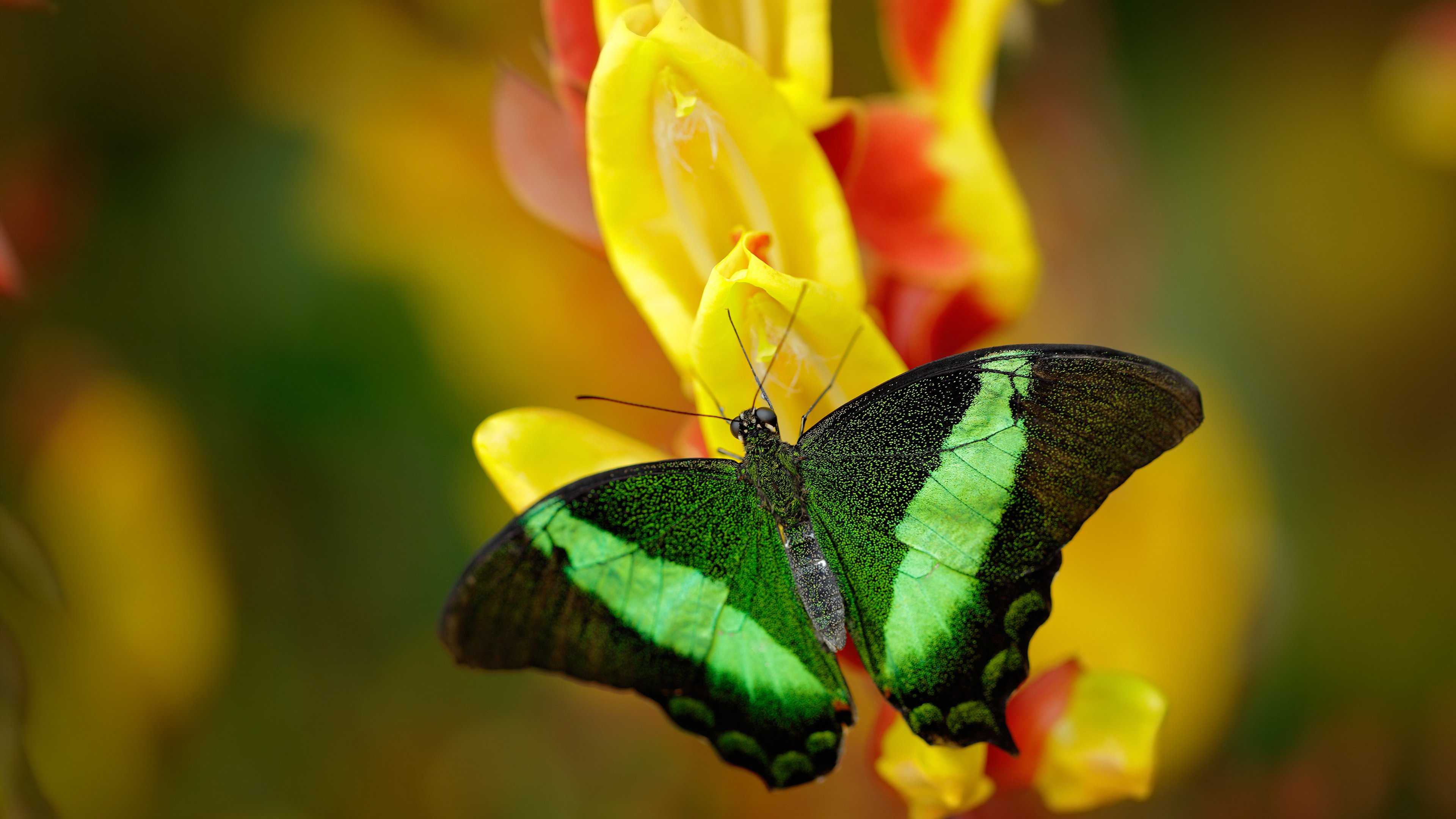 世俱杯入口-普拉提教练培训课程多样化，满足市场需求，普拉提教练班多少钱