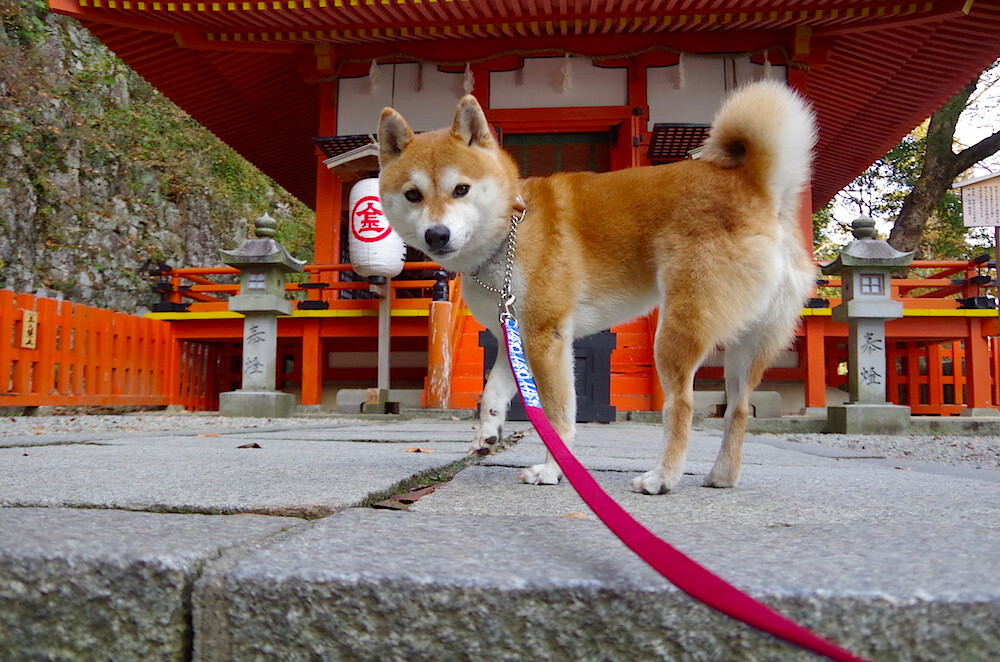 2025世俱杯赛程-劲旅互搏!比赛如火如荼,双方你来我往,劲旅网创始人