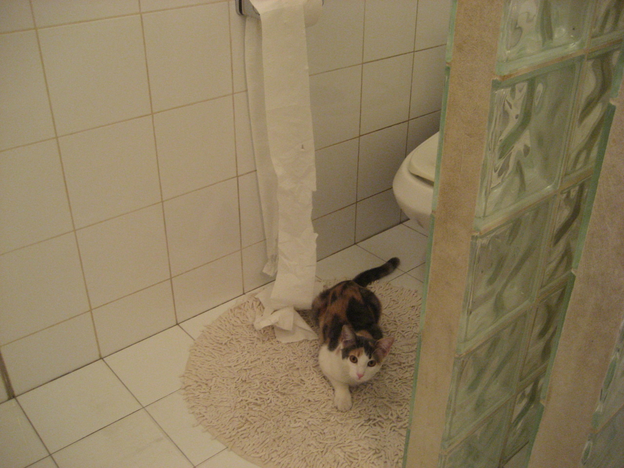 俱乐部世界杯-巴萨客场险胜,梅西上演帽子戏法,巴萨球迷 梅西