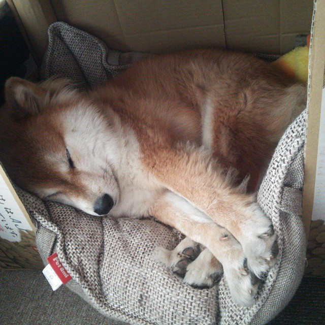 FIFA Club World Cup 2025-曼联能否解决进攻端配合不畅的问题，曼联引进