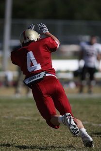 世俱杯官网-中超球队对不同对手战术适配度评分,中超对标