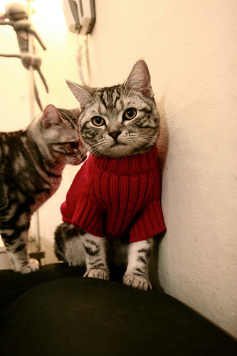 世俱杯官网-中超球队对不同对手战术适配度评分,中超对标