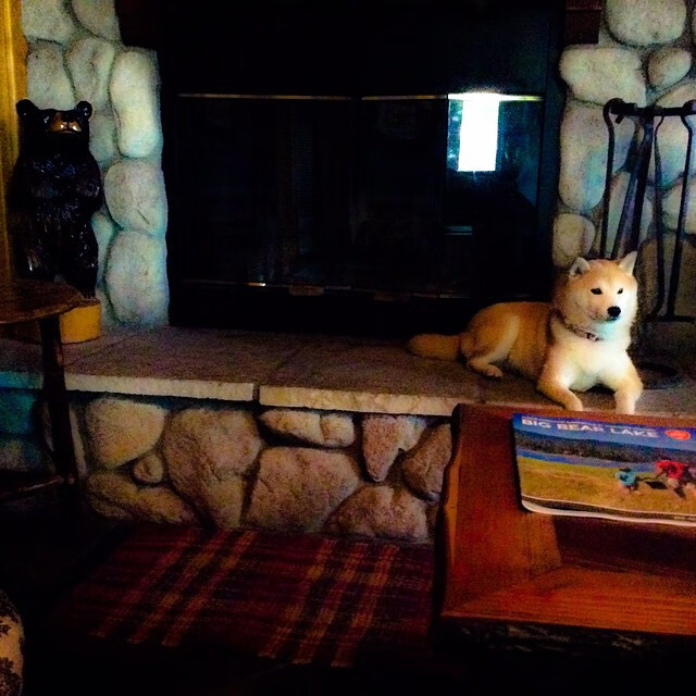 世俱杯2025-全国青少年棒球锦标赛激烈角逐,中国青少年棒球队