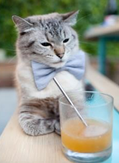 世俱杯-竞技体育青训体系建设进展报告,竞技体育青训体系建设进展报告怎么写