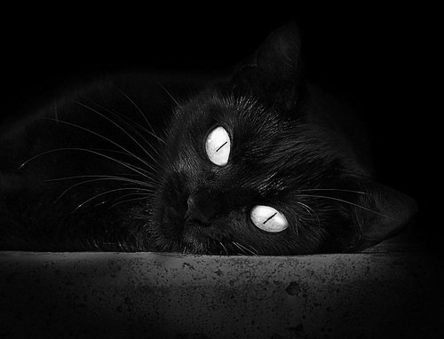 世俱杯2025赛程-运动员职业技能竞赛方案，运动员职业技能竞赛方案怎么写