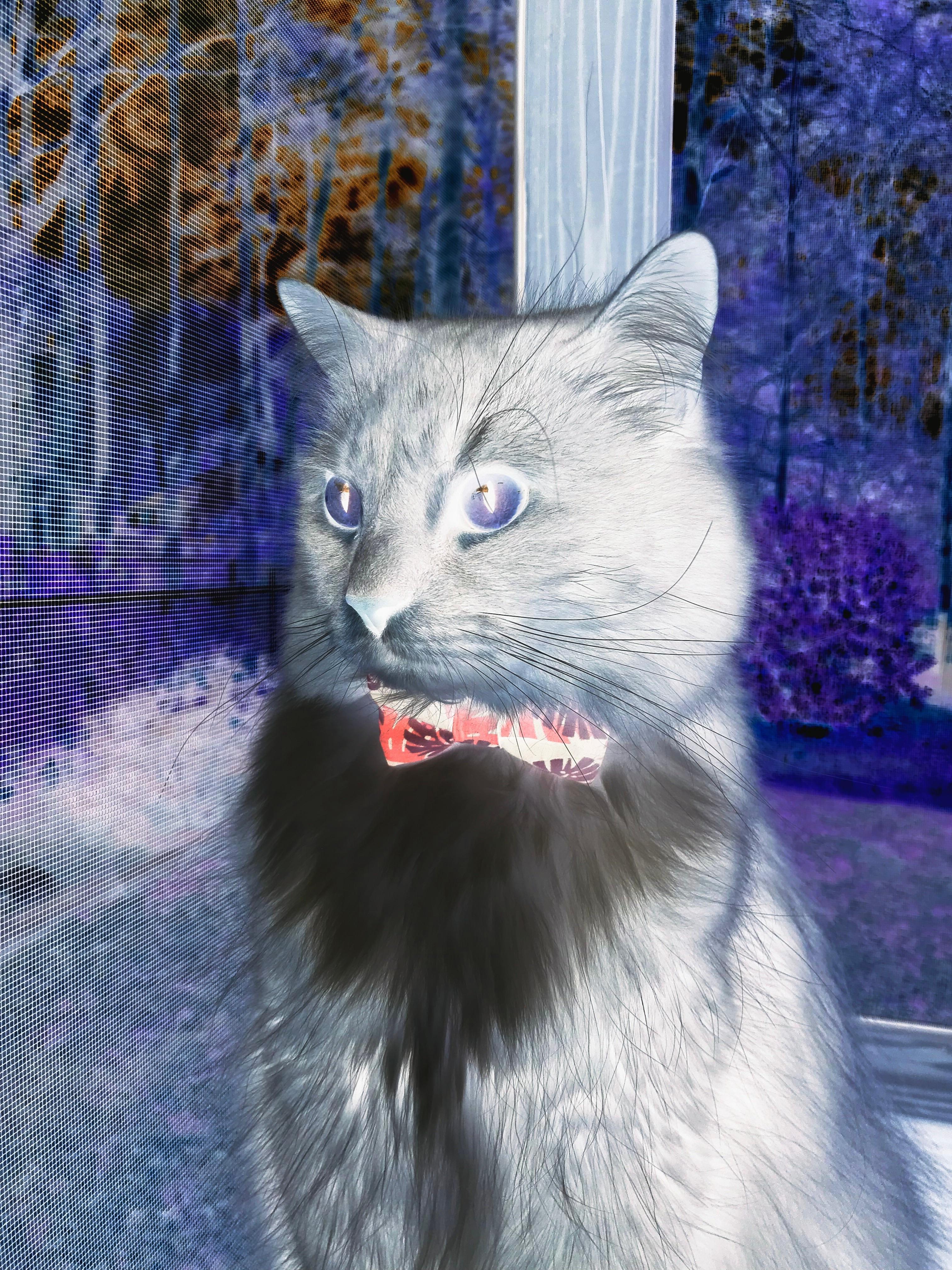 世俱杯-中锋回抢抢断后直塞形成助攻,中锋回防