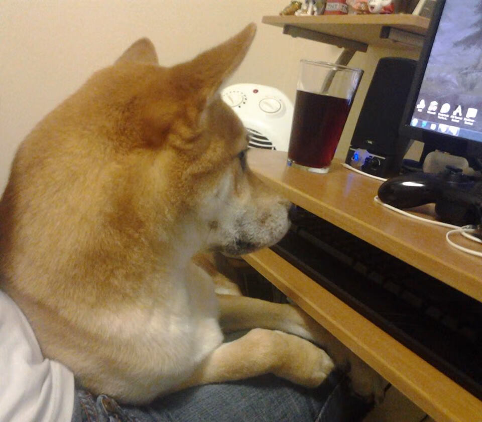 世俱杯直播-冠军选手数据分析与技术特征,冠军选拔赛